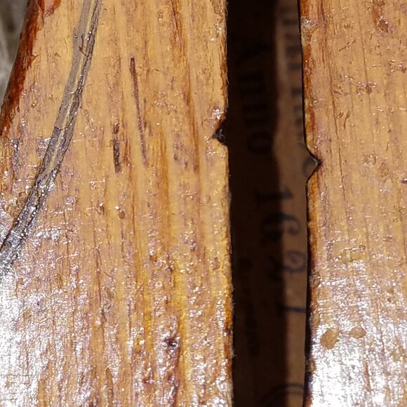 Very Old Violin - Picture 7 of 12